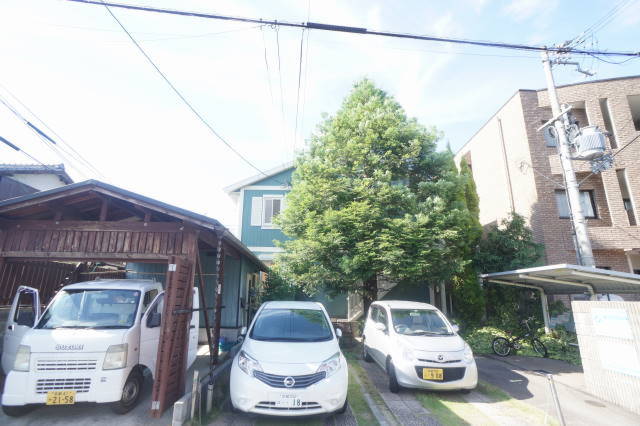 フォレストグリーン
