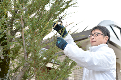 共用部分の定期清掃